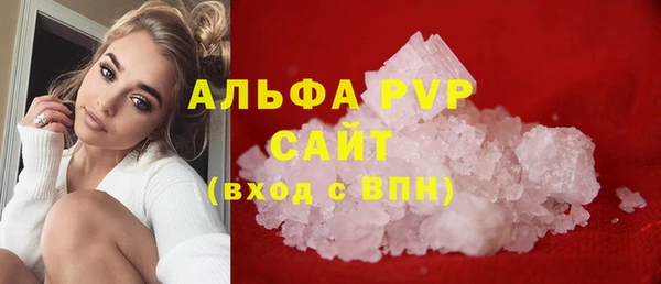 шишки Баксан