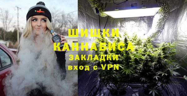 шишки Баксан