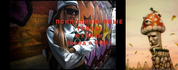 шишки Баксан